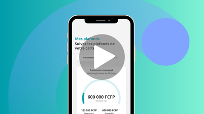 Vignette vidéo tuto suivi plafonds carte